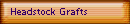 Headstock Grafts