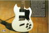 Kim's Guild S-100